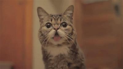 老咬舌头是因为中风还是馋肉,老咬舌头是馋肉还是中风