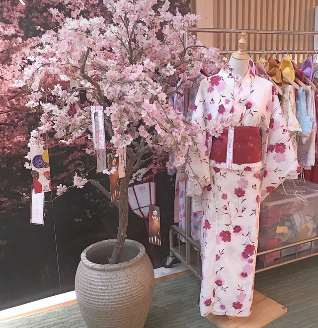 元旦三天假,我们边放松边偷看小姐姐吧!武汉3家汗蒸馆推荐!