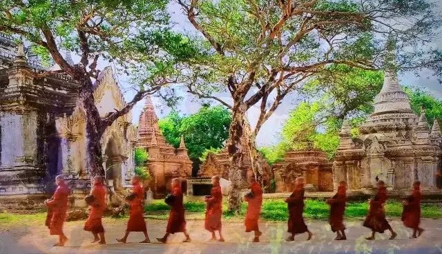 缅甸佛国之旅,缅甸人文体验之行