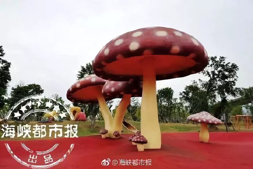 福州值得去的旅游打卡景点,福州旅游必去海岛