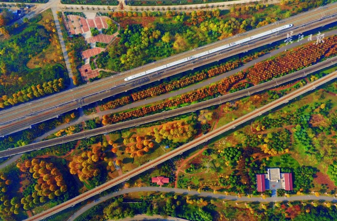 天呐！武汉这个区开挂了！反正我是羡慕了！