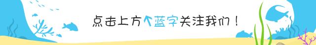 四招帮助海水观赏鱼安然过冬,观赏鱼冬季如何防寒