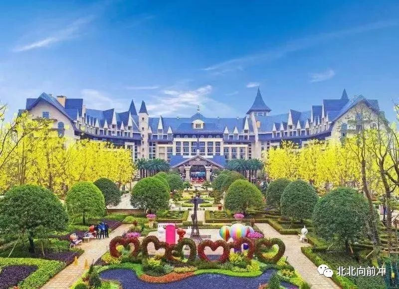 楚才公益网课视频,楚才名师公益讲堂