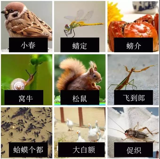 如何证明你是邯郸人,怎样证明你是包头人