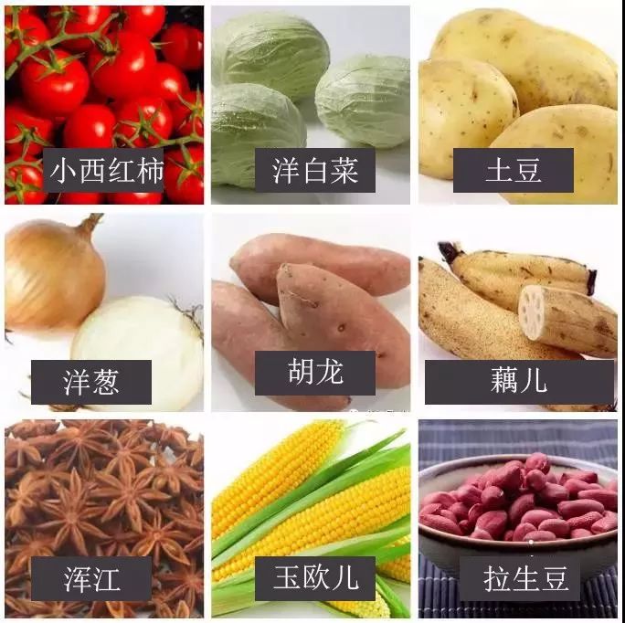 如何证明你是邯郸人,怎样证明你是包头人