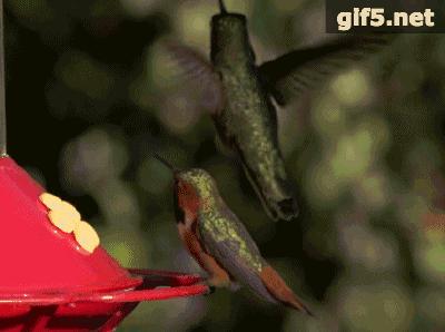 自拍录视频比划动作,自拍手抖得很