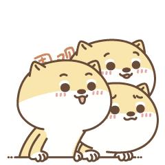 甲a联赛开幕式,足球甲级联赛广州队