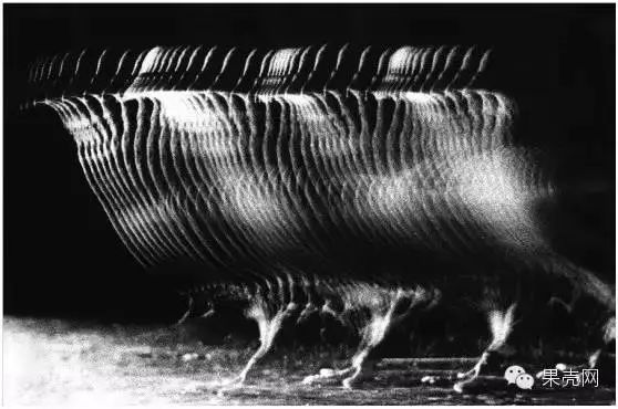 自拍录视频比划动作,自拍手抖得很