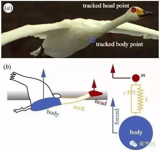 自拍录视频比划动作,自拍手抖得很