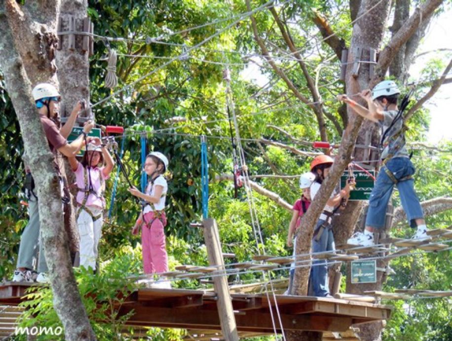 美国出国留学申请条件,申请公费出国留学条件