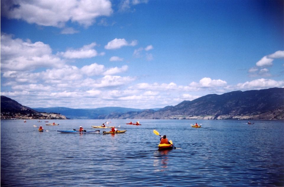 美国出国留学申请条件,申请公费出国留学条件