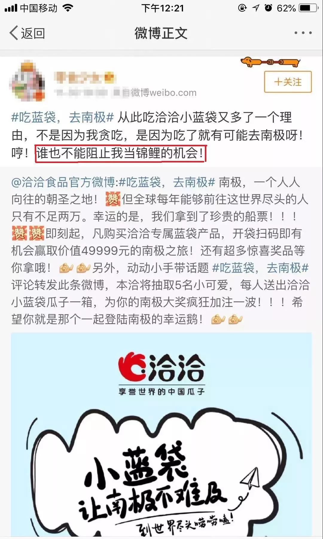 “锦鲤营销”爆红后,洽洽也跟风了