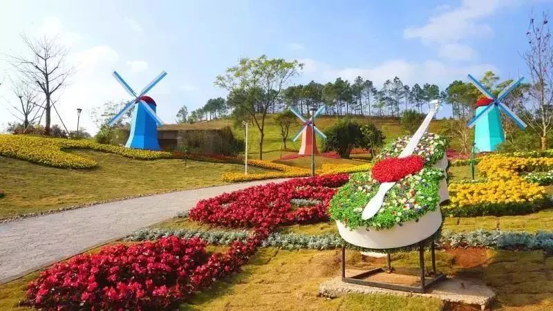 走进世界客都梅州,五指石在梅州哪里