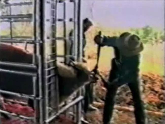 豆瓣9.1这部剧全程高能,豆瓣9.8分以上的电影悬疑中国