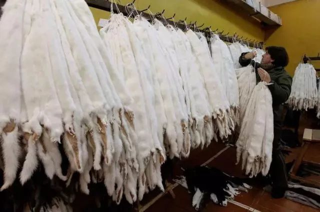 豆瓣9.1这部剧全程高能,豆瓣9.8分以上的电影悬疑中国