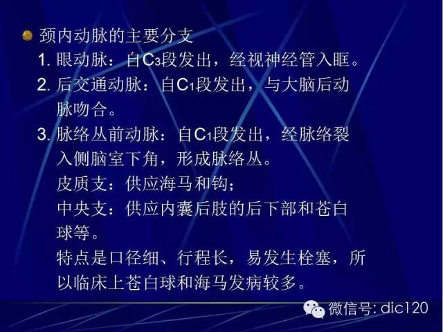 脑血管解剖技巧,脑血管解剖与介入