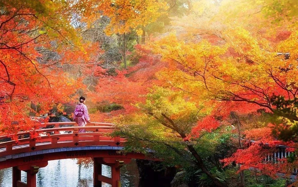 去日本旅游什么东西要退税,入境日本需要带多少人民币