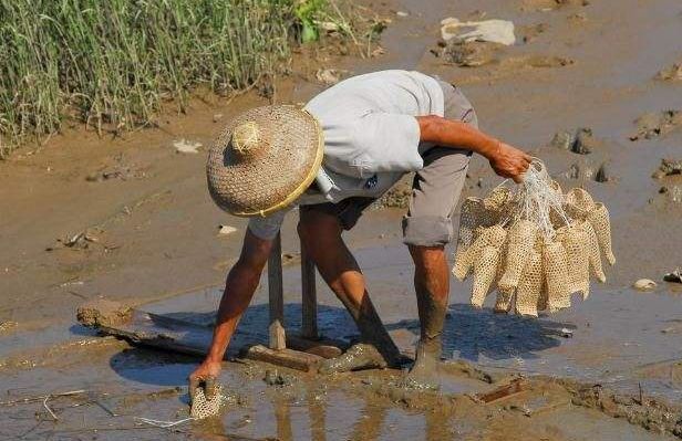 导游介绍地方,斗门区导游