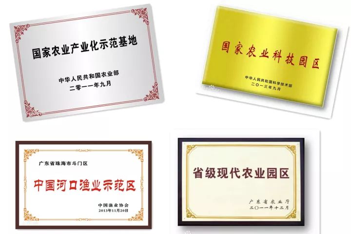 导游介绍地方,斗门区导游