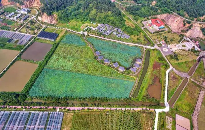 导游介绍地方,斗门区导游