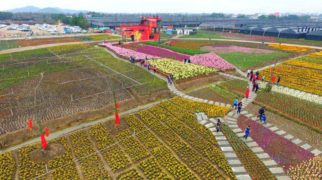 导游介绍地方,斗门区导游