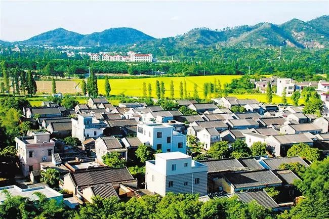 导游介绍地方,斗门区导游