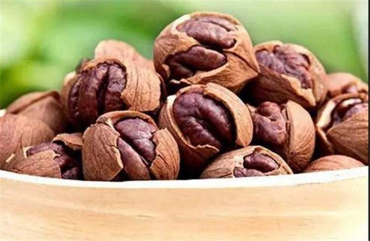 一年一度的农展会,近期农展会