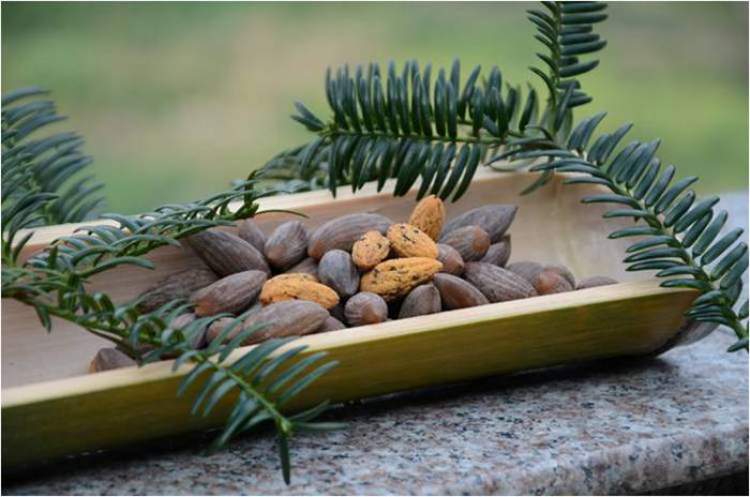 一年一度的农展会,近期农展会