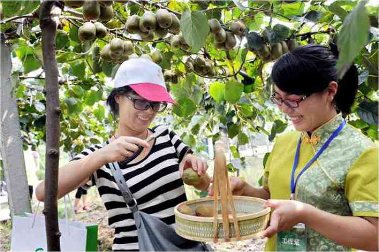 一年一度的农展会,近期农展会