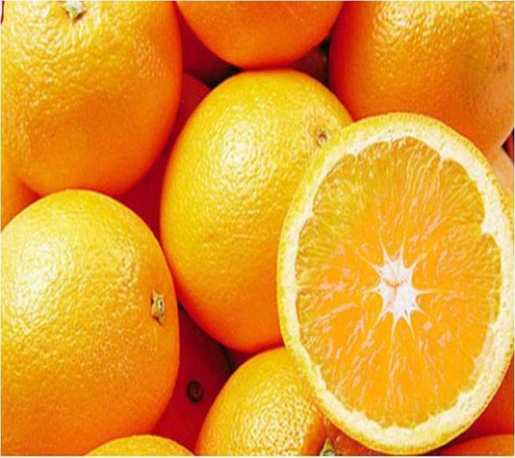 一年一度的农展会,近期农展会