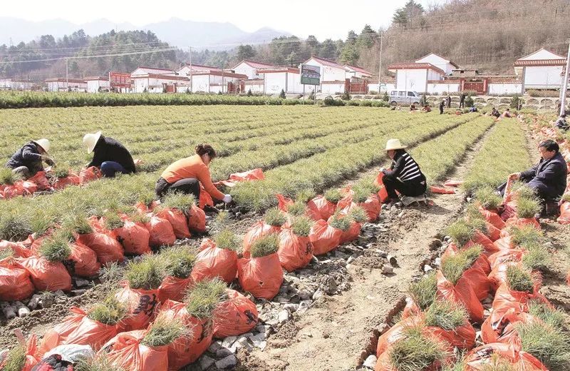徽县到火车站多少公里,徽县坐车几小时