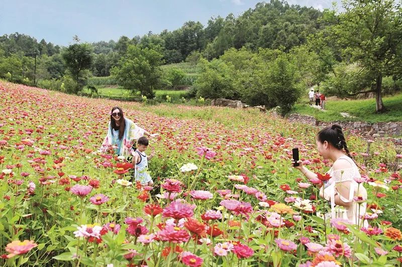 徽县到火车站多少公里,徽县坐车几小时