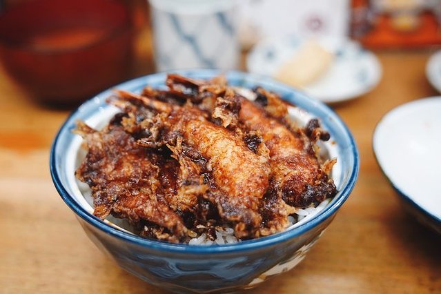 长冈花火大会的花火是哪里的,东京花火和长冈花火