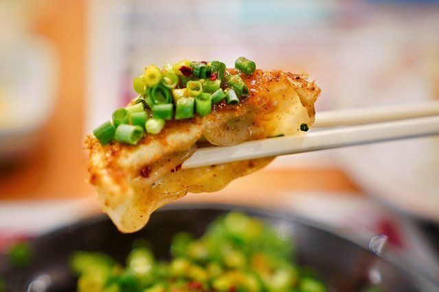 长冈花火大会的花火是哪里的,东京花火和长冈花火