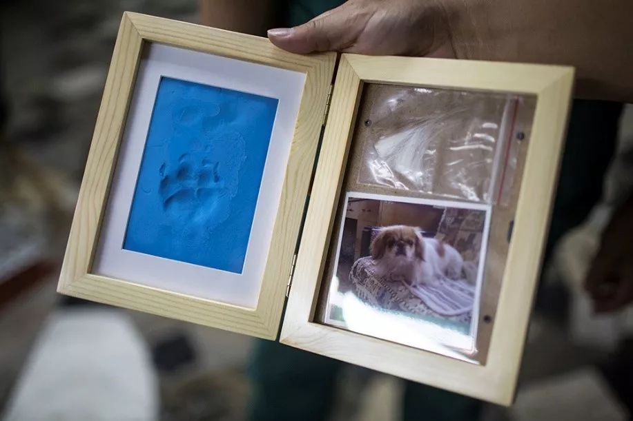 购物车从不撒谎:在淘宝,我看见1万种人生