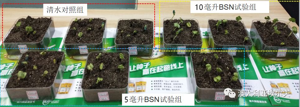 霍博士钙镁肥,霍博士拌种肥用法用量