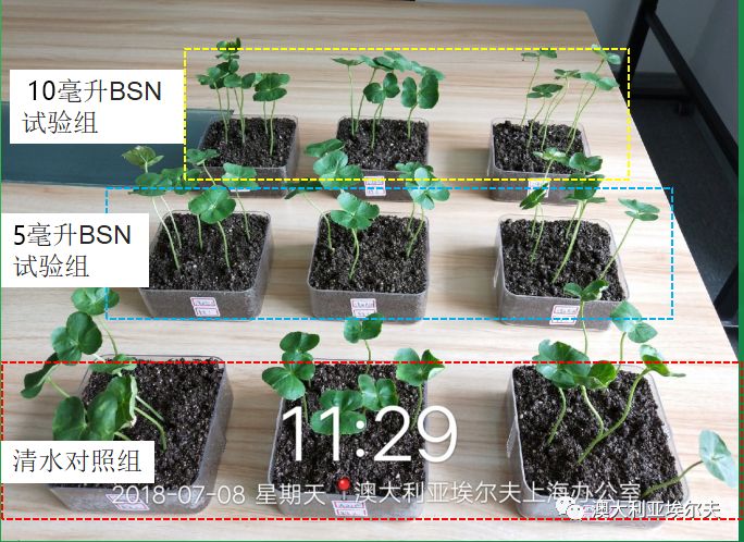霍博士钙镁肥,霍博士拌种肥用法用量