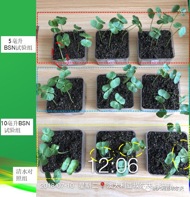 霍博士钙镁肥,霍博士拌种肥用法用量