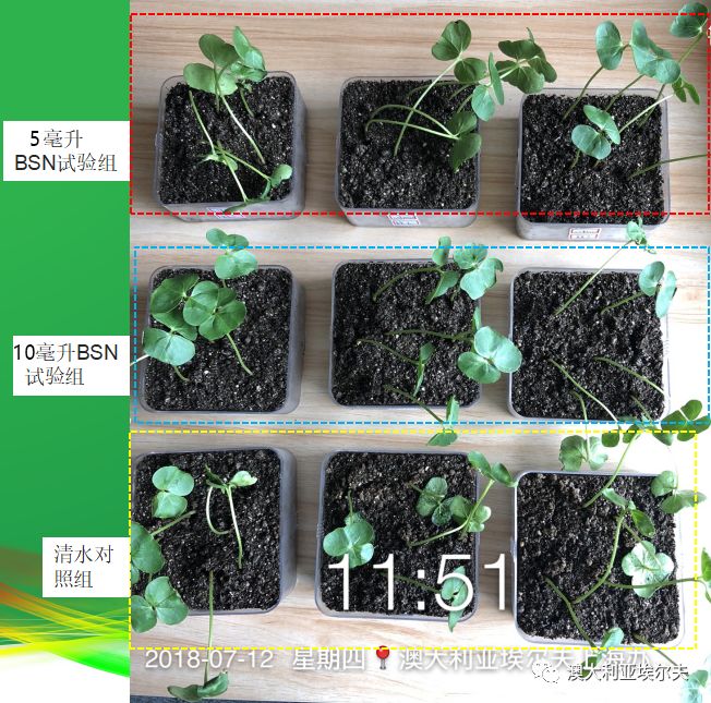霍博士钙镁肥,霍博士拌种肥用法用量