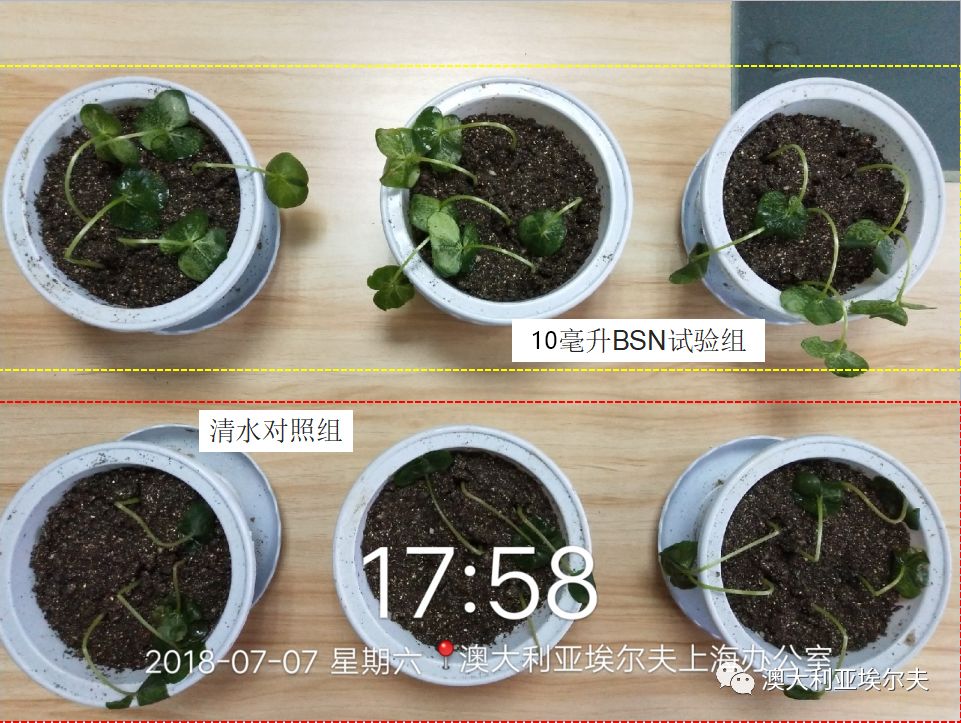 霍博士钙镁肥,霍博士拌种肥用法用量