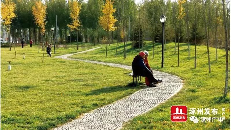 涿州理想城新闻最新消息,涿州宏远景园新楼盘