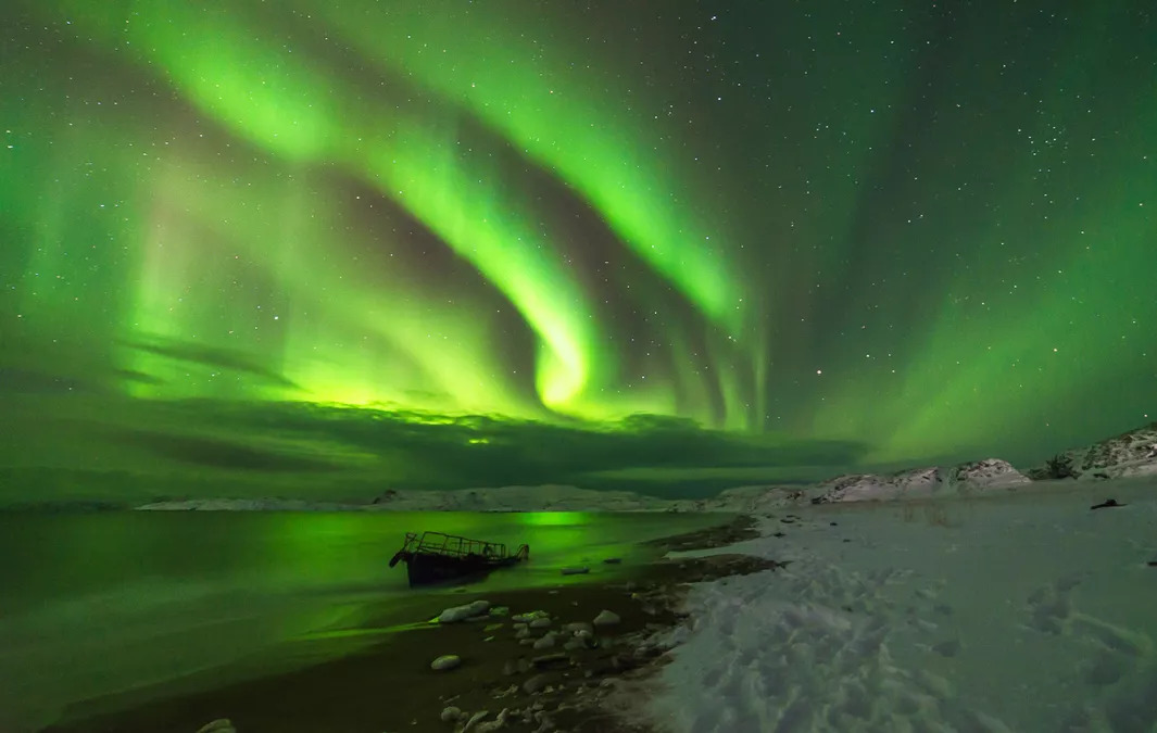 2019年，你应该去亚寒带看看