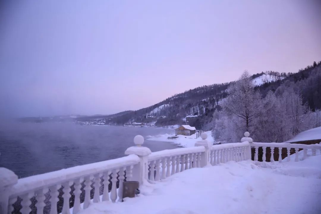 2019年，你应该去亚寒带看看