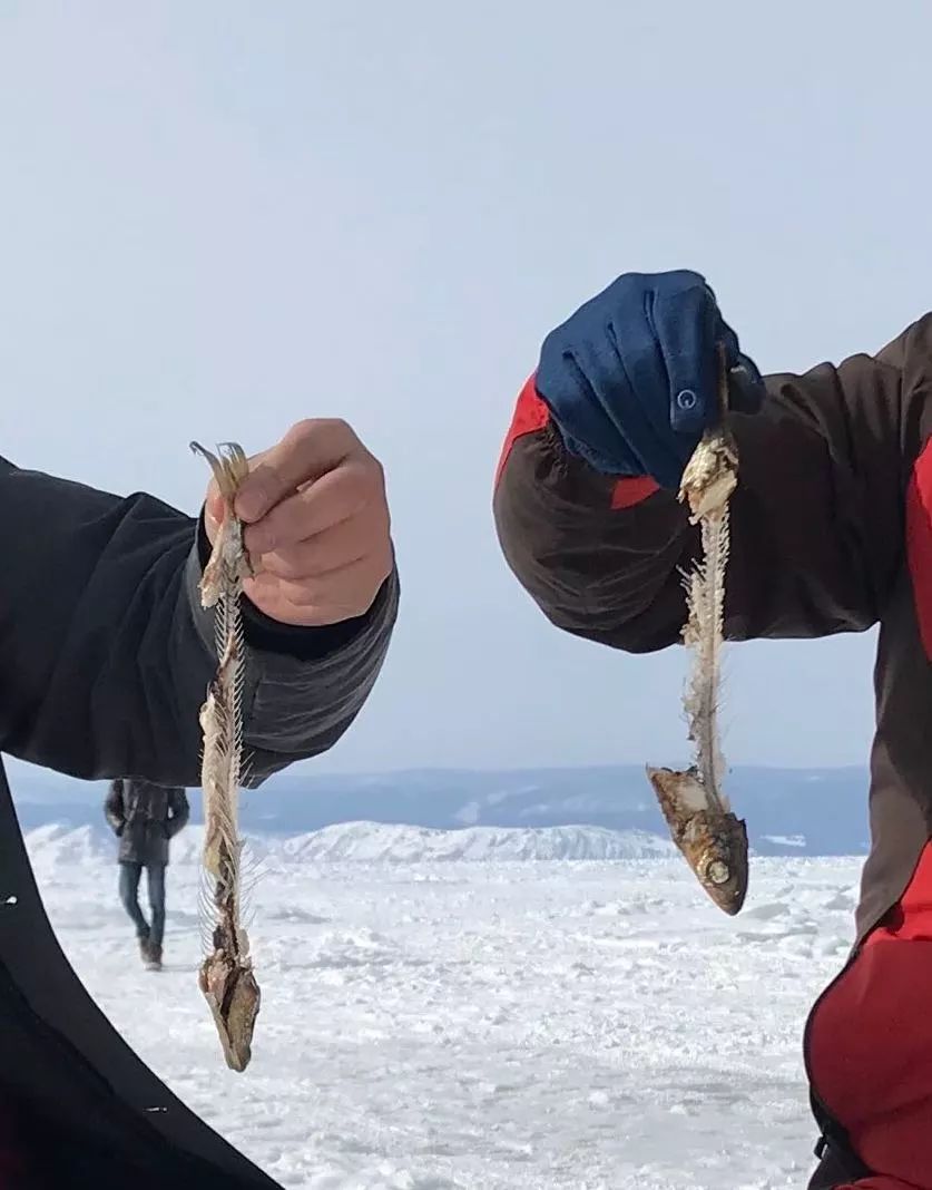 2019年，你应该去亚寒带看看