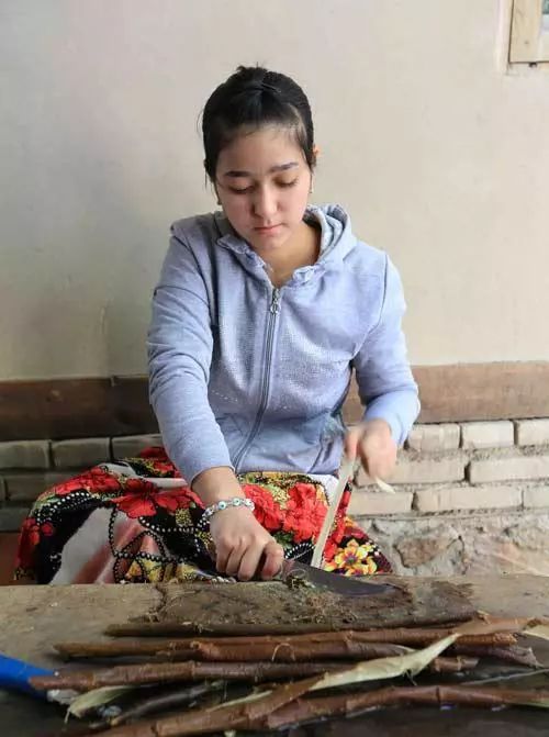 2019年，你应该去亚寒带看看