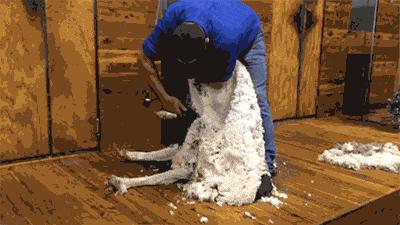 拼多多200亿被追回了吗,拼多多真的涉嫌犯罪吗