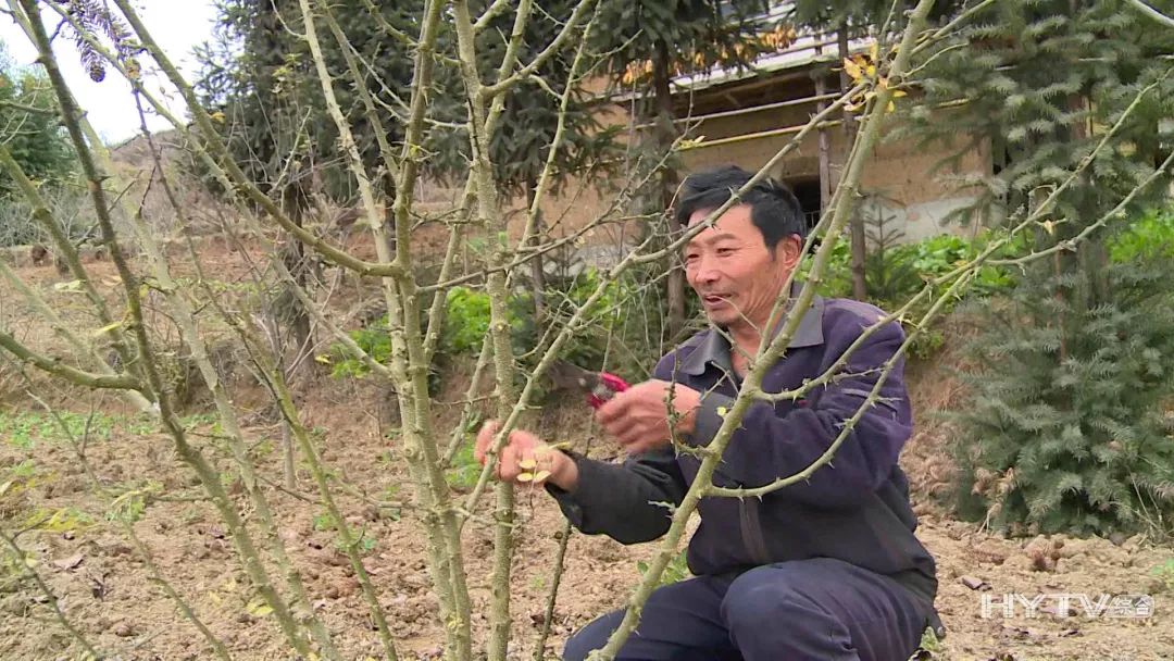 富泉镇胡叶村,汉源县决战脱贫攻坚