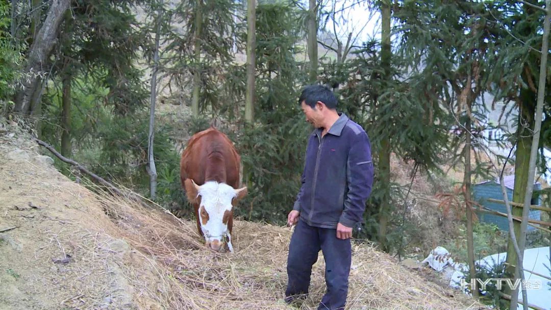 富泉镇胡叶村,汉源县决战脱贫攻坚