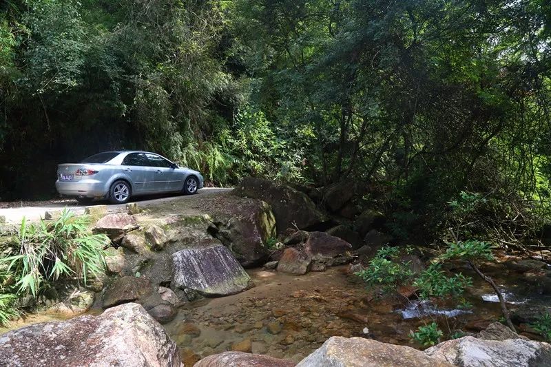 zoom机油好用吗,zoom机油5w30