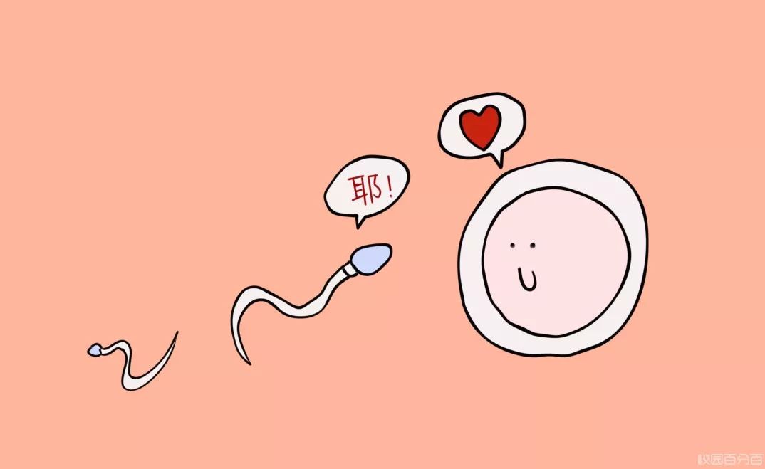 姨妈前后多久排卵,姨妈前后多久属于安全期